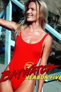 海滩救护队第九季