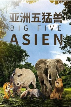 亚洲五猛兽