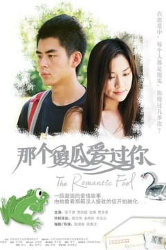 那个傻瓜爱过你2007