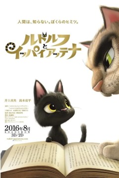 黑猫鲁道夫2016