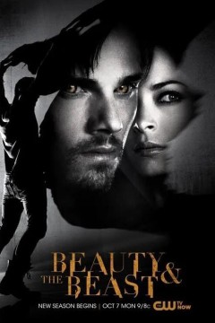 侠胆雄狮第二季