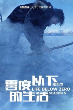 零度以下的生活第五季