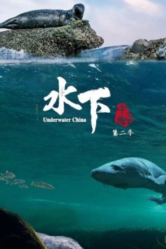 水下中国第二季