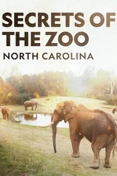 动物园秘辛：北卡罗来纳