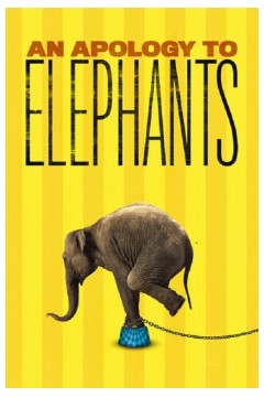 抱歉啊，大象2013