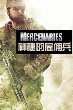 神秘的雇佣兵