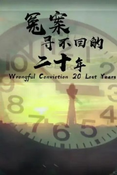 冤罪：寻不回的二十年