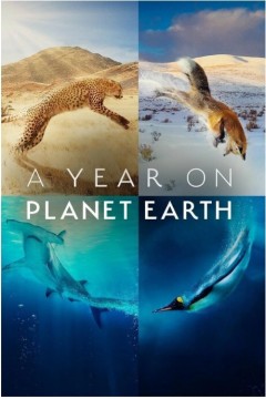 地球上的一年2022