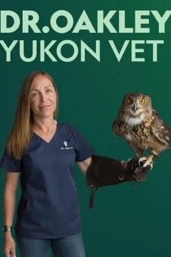 育空兽医第一季