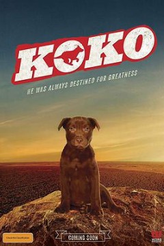Koko：红犬历险记