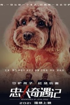 忠犬奇遇记
