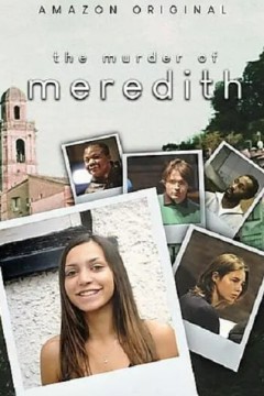 梅雷迪斯谋杀案