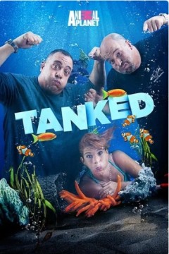 百变水族箱第五季