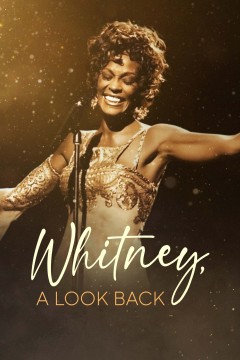 惠特尼，回顾