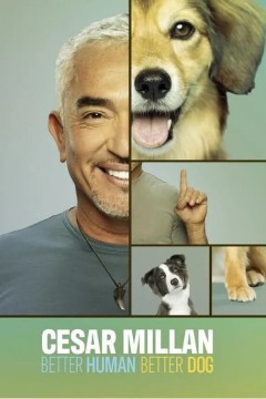 西泽教官狗主人训练班第三季2023