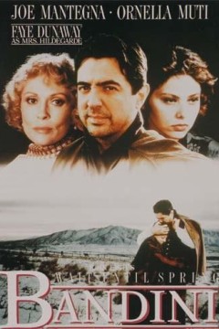 等到春天，班迪尼