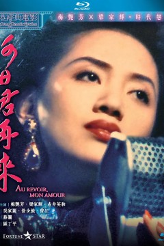 何日君再来1991