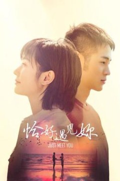 恰好遇见你