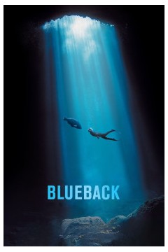 蓝背鱼2022