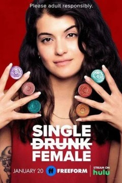 单身醉族第二季