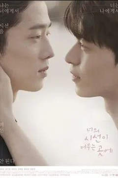 你的目光所及之处