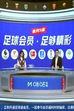 意甲联赛 乌迪内斯VS尤文图斯 20241103