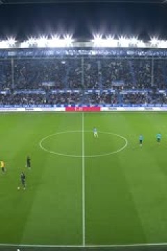 西甲联赛 阿拉维斯VS皇家社会 20250424