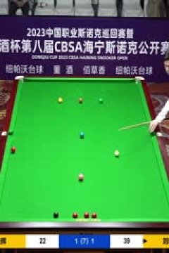 斯诺克刘宏宇4-3斯佳辉20230518