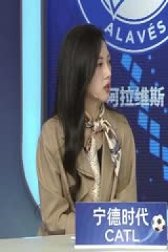 西甲联赛 阿拉维斯VS皇家马德里 20250413