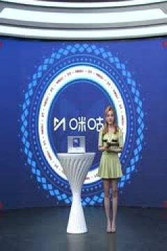 英超联赛 利物浦VS阿斯顿维拉 20241110