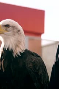 英超 阿森纳vs利物浦 (陈渤胄) 20240204