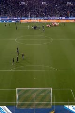 法甲联赛 斯特拉斯堡VS布雷斯特 20250224