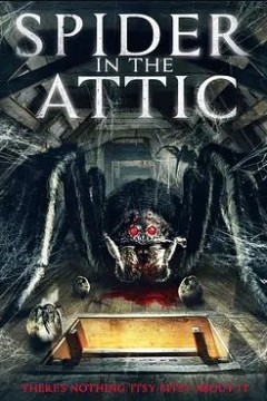 阁楼里的蜘蛛