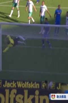 德甲联赛 勒沃库森VS霍芬海姆 20240330