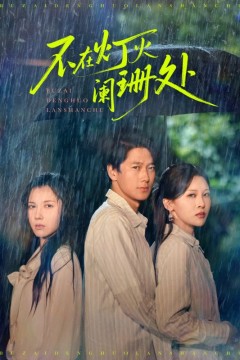 不在灯火阑珊处2025