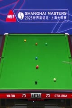 2025斯诺克上海大师赛四分之一决赛凯伦·威尔逊6-3奥沙利文(蔡剑忠)20250731