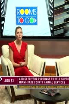 NBA常规赛 太阳VS热火 20241208