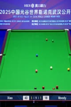 2025斯诺克武汉公开赛四分之一决赛肖国栋5-2斯坦·穆迪20250828