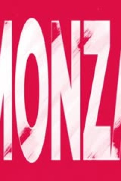 意甲联赛 蒙扎VS科莫 20250405