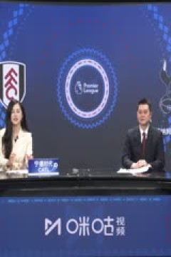 英超联赛 富勒姆VS托特纳姆热刺 20250316