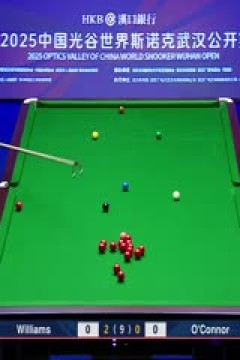 2025斯诺克武汉公开赛32进16马克·威廉姆斯5-1乔·奥康纳20250826