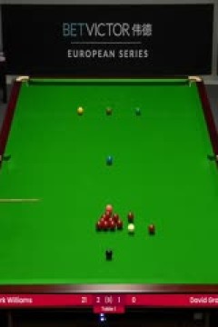 2023斯诺克德国大师赛资格赛马克·威廉姆斯5-3大卫·格雷斯20231218(黑8)