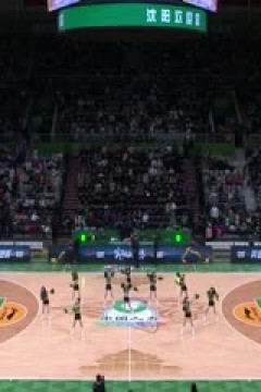 CBA常规赛第41轮 辽宁本钢VS广州龙狮 20240309(哈秋)