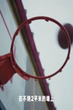 NBA常规赛 森林狼VS快船 20241205