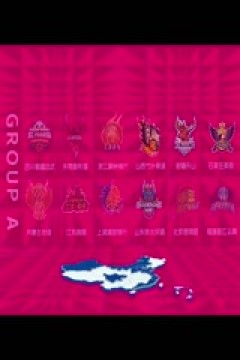 WCBA常规赛A组 石家庄英励VS山西竹叶青酒 20250207