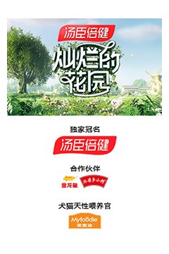 灿烂的花园云监工