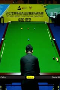 2025斯诺克国际锦标赛32进16马克·塞尔比6-3丹尼尔·威尔斯20251104
