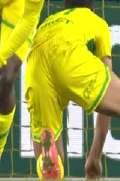 法甲联赛 南特VS布雷斯特 20250208