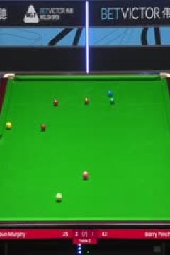 斯诺克威尔士公开赛肖恩·墨菲3-4巴里·平奇斯20240212(李照)