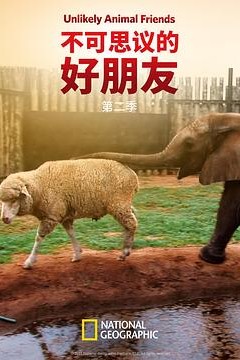 不可思议的好朋友第二季